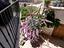 Immagine 29