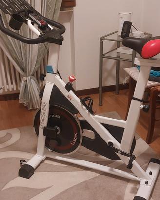  bicicletta da spinig 