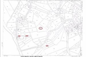 Terreni Molise Campobasso