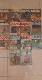 11 riviste Diana+3supplementi dal 1981 al 1985