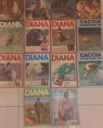 11 riviste Diana+3supplementi dal 1981 al 1985