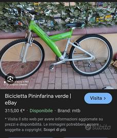 bicicletta mountainbike