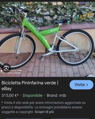 bicicletta mountainbike