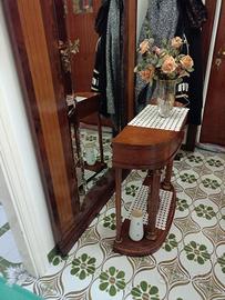 ingresso posso trasportare 