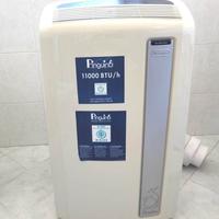 Condizionatore e deumidificatore portatile Pinguin