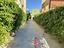 Immagine 13