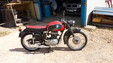 MV Agusta Altro modello - 1953