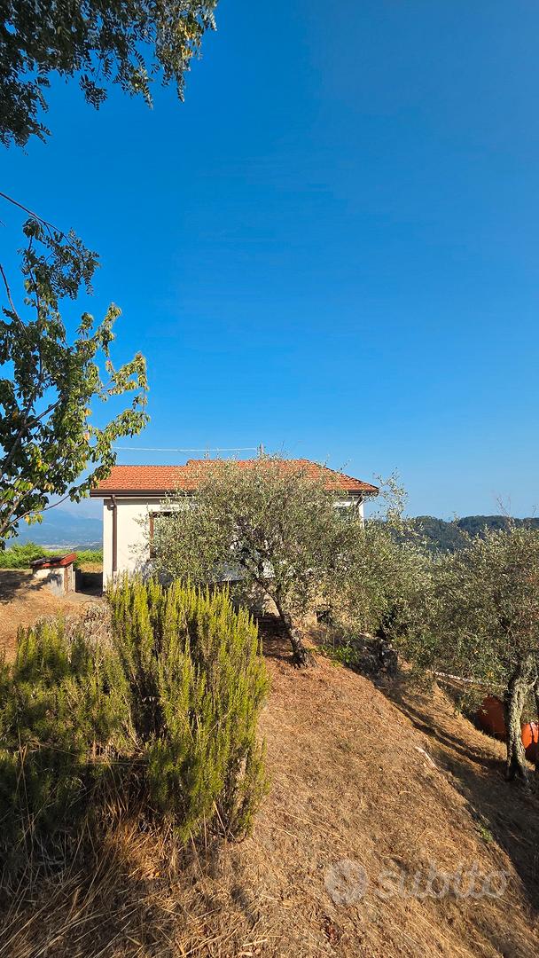 Rudere Ristrutturato e Oliveto - Vista 2