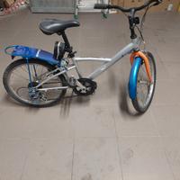 Bicicletta da 20 pollici