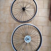 Cerchioni per mtb da 26 TKX alloy double wall 