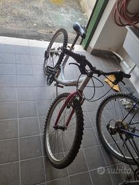 Bicicletta Usata