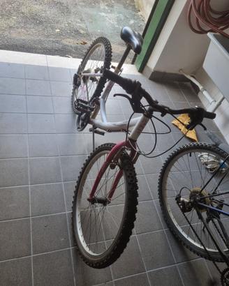 Bicicletta Usata