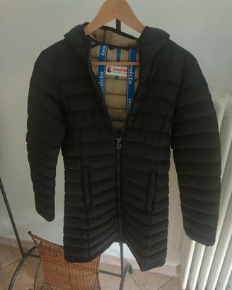 Piumino invicta