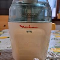Estrattore Moulinex Vitae 