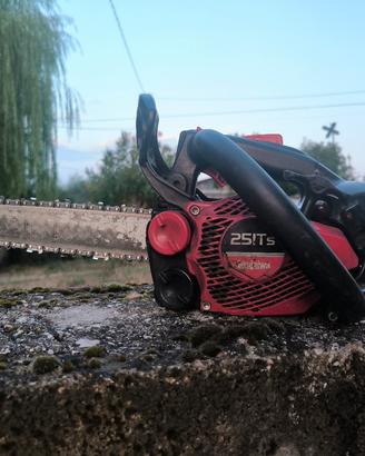 Motosega potatura shindaiwa 25 cc