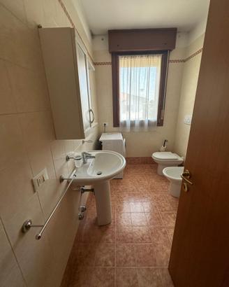 Sanitario wc Dolomite e colonna