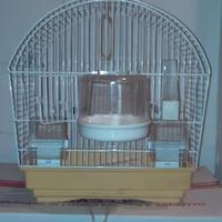 Gabbia per uccellini