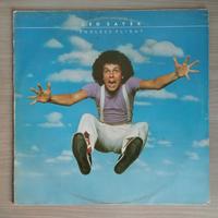 Leo Sayer -Endless Flight LP e The 7 Golden 2 LP 