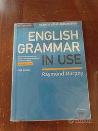 English grammar in use 9781108457682