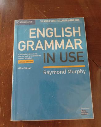 English grammar in use 9781108457682