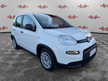 FIAT Panda 1.0 FireFly 70cv Hybrid, 5 POSTI, ...