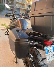 Benelli TRK