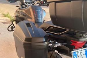 Benelli TRK