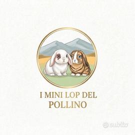 Mini lop