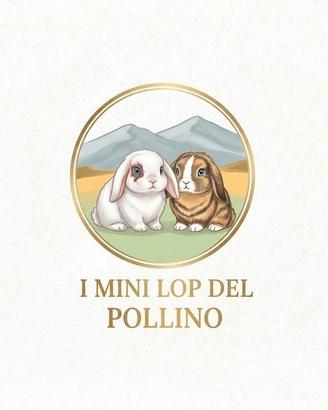 Mini lop