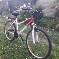 mountain bike  