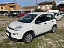 fiat-panda-1-0-firefly-s-s-hybrid-2024