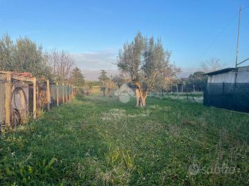 TER. AGRICOLO A ZAGAROLO