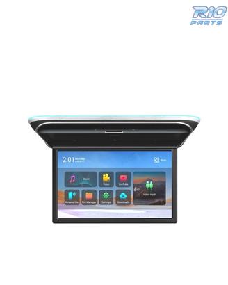 SCHERMO PER TETTO FULL HD DA 17,3"