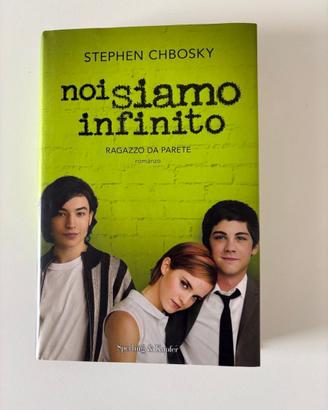 Noi siamo infinito