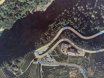 Terreno boschivo
