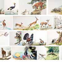 Dipinti a mano su cartoncino degli anni 70