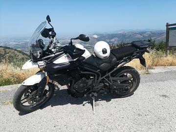 Triumph Tiger