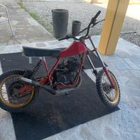 Mini moto Malaguti RV