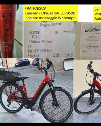Pegasus Premio EVO 10 Lite Wave -
 E-Trekkingbike