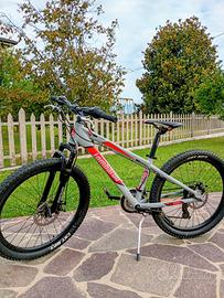 bici Mountain bike lombardo 24