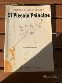 Libro Il piccolo principe