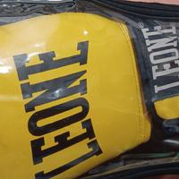 Guantoni pugilato leone