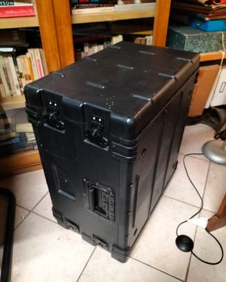 flight case rack 19"
