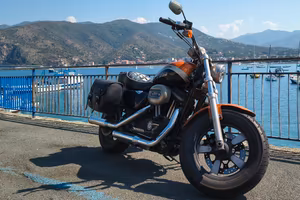 Harley Davidson Sportster 1200 custom  2014