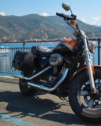 Harley Davidson Sportster 1200 custom  2014