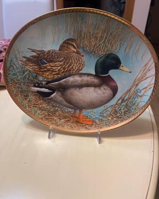 The wild ducks of Europe 1988