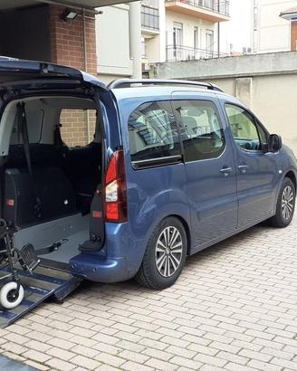 auto trasporto disabili