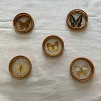 Sottobicchieri in legno vetro vintage