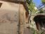 Immagine 29