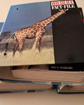 WILDLIFE  - FACTFILE